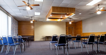 Balu Bear Hotel - Meeting Room